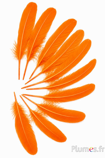 Gans - 15-21 cm - oranje